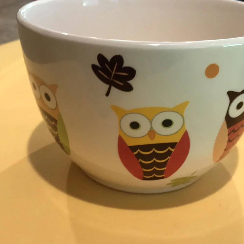Pier 1 Bowls Hand Painted Earthenware Owl Bowl & Red Bowl